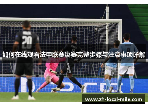 如何在线观看法甲联赛决赛完整步骤与注意事项详解 如何在线观看法甲联赛决赛完整步骤与注意事项详解